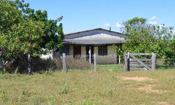 Imagem 4: EXELENTE FAZENDA NO MUNI. DE PRIMA VERA -MT