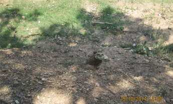 Imagem 4: AREA INDUSTRIAL ZI VIA ARTERIAL EM JUNDIAI NO BAIRRO POSTE AV. UVA 12500M2 C/ GALPAO DE 10