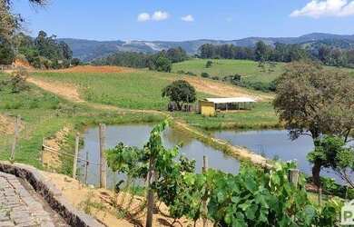 Imagem 6: Sítio com 3 dormitórios à venda, 50000 m² por R$ 1.500.000,00 - Área Rural - Santa Rita de