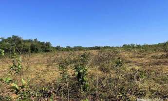 Imagem 5: Fazenda à venda, 5.033 Hectares em Peixes - Tocantins