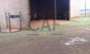 Imagem 3: Sítio Rural à venda, Área Rural de Limeira, Limeira - SI0146