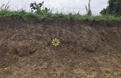 Imagem 3: Fazenda à venda, 580 Hectares em Miranorte do Tocantins