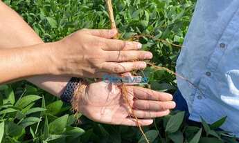 Imagem 4: Fazenda a venda - área rural