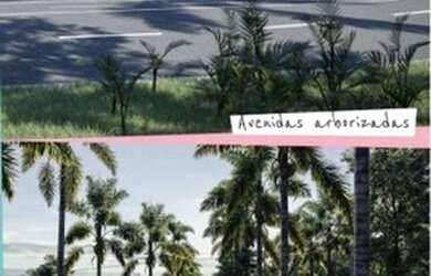 Imagem 2: Terreno à venda, 361 m² por R$ 260.000,00 - Parque dos Ipes - Holambra/SP