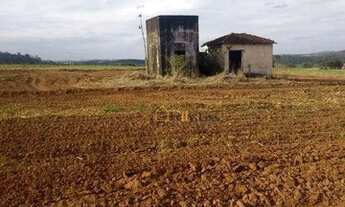 Imagem 7: Oportunidade área em Cajuru 25 alqueires, agende uma visita venha conhecer!