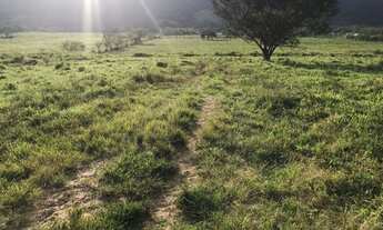 Imagem 7: W36-Venha conhecer esse novo sucesso de vendas