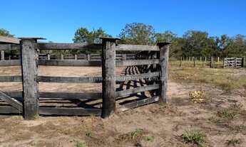 Imagem 4: OTIMA FAZENDA EM CAPOS DE JULIO