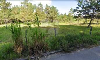 Imagem 2: ITAPEVI - Terreno Padrão - Parada Ambuia