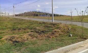 Imagem 5: Lote bairro Tamareiras