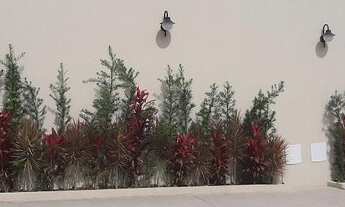 Imagem 3: Apartamento para Venda em São Paulo, Parque Boturussu, 2 dormitórios, 1 banheiro, 1 vaga