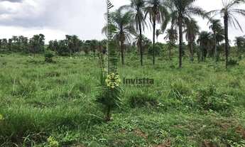 Imagem 4: Fazenda à venda, 580 Hectares em Miranorte do Tocantins