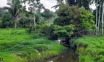 Imagem 2: Fazenda 127 alqueires Jaru