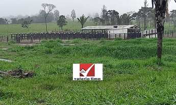 Imagem 2: Fazenda 1260 Alqueires - Pedra Azul-MG