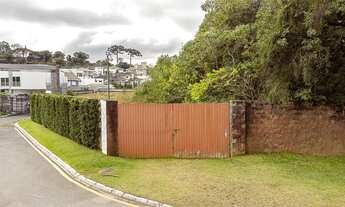 Imagem: Lote/Terreno para venda possui 5000 metros