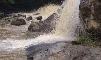 Imagem 4: Fazenda 65km de Cuiabá à venda, 4750000 m² por R$ 3.000.000 - Zona Rural - Nossa Senhora
