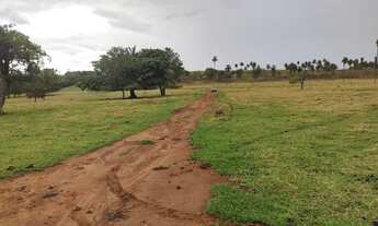 Imagem 7: EXCELENTE FAZENDA NO MUNI. DE ALTO GARÇA- MT