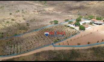 Imagem 4: Chácara com 1 dormitório à venda, 80000 m² por R$ 360.000,00 - Zona Rural - São Sebastião