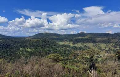 Imagem 2: OPORTUNIDADE NO CAMINHO DAS NEVES