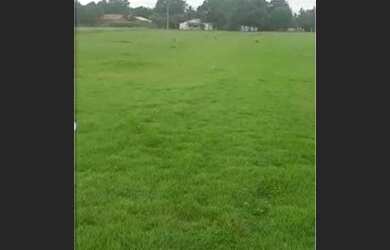 Imagem 3: Terreno para Venda em Rondonópolis, Vila Paulista