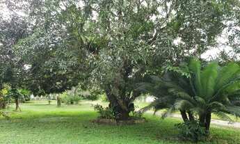 Imagem 7: Aldeia Chácara com 5.000m² de puro verde