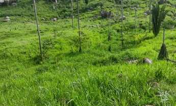 Imagem 7: Sitio 80 Alqueires Região de Cacaulândia