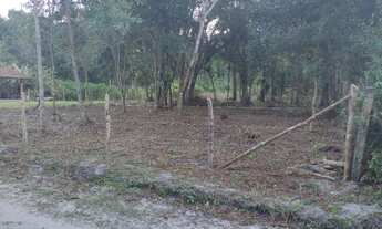 Imagem 2: Terreno para chácara