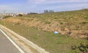 Imagem 6: Lote bairro Tamareiras