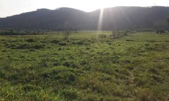 Imagem 3: W36-Lotes com topografia plaina