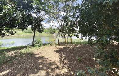 Imagem 6: Terreno à venda, Zona Rural, Delfinópolis, MG
