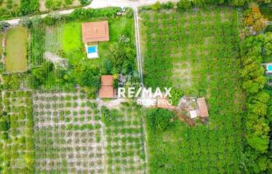 Imagem 7: Chácara para venda com 20.340m2 com plantação de goiabas em Valinhos