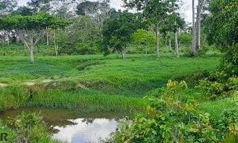 Imagem: Fazenda 127 alqueires Jaru