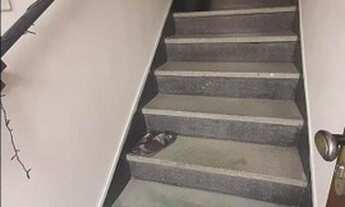 Imagem 7: Apartamento à venda, 97 m² por R$ 370.000,00 - Aparecida - Santos/SP