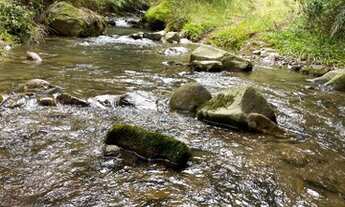 Imagem 4: Urubici/Sítio/Chácara á venda de 3.0 Hectares