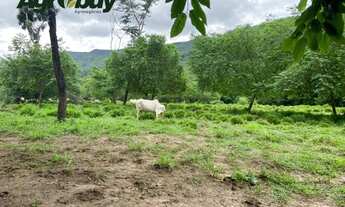 Imagem 7: Fazenda localizada no município de São Salvador TO