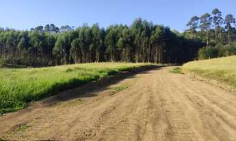 Imagem 6: 500m² - Nazaré Paulista - São Paulo!!!
