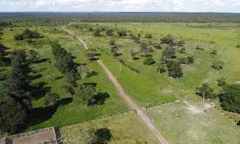 Imagem 4: Fazenda no Vale do Araguaia-TO