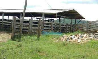 Imagem 2: Fazenda em Pacajá - PA