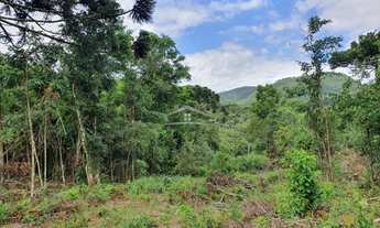 Imagem 3: GRAMADO - Terreno Padrão - Carazal