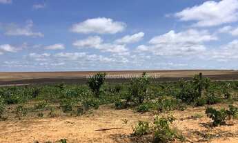 Imagem 3: Excelente Fazenda no Muni. de Primavera Do Leste -MT