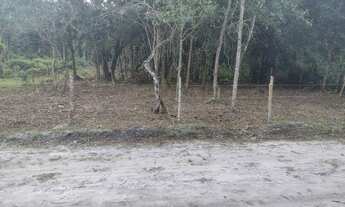 Imagem 3: Terreno para chácara