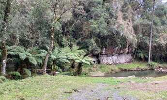 Imagem 2: Urubici/Sítio/Chácara á venda de 3.0 Hectares