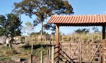 Imagem 6: Fazenda Produtiva, Escriturada e sem Débitos
