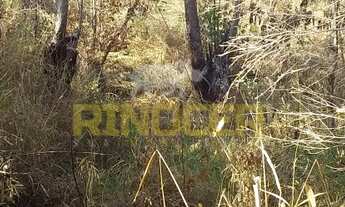 Imagem 2: Terreno à venda, Jardim dos Lagos, Franco da Rocha, SP