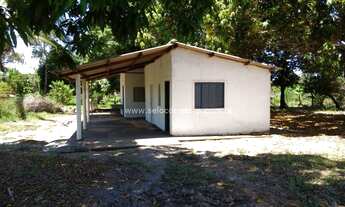 Imagem 3: Chacrinha no Muni de Cuiabá -MT