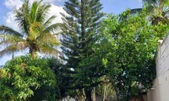 Imagem 4: LOTE DE 400M² NO CONJUNTO 1 DE ARNIQUEIRAS