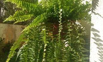 Imagem 7: Apartamento com 3 dormitórios à venda, 72 m² - Demarchi - São Bernardo do Campo/SP