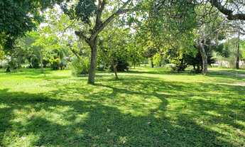 Imagem 6: Aldeia Chácara com 5.000m² de puro verde