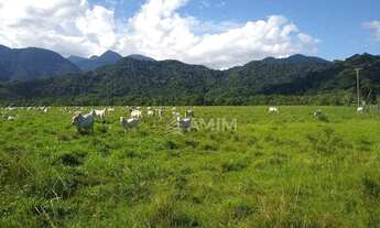 Imagem 2: Fazenda à venda, m² por R$ 9.000.000,00 - Casimiro de Abreu - Casimiro de Abreu/RJ