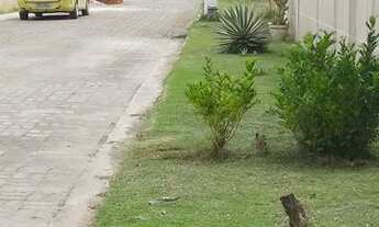 Imagem 5: Condomínio Ilha Previlege I. Ilha de Guaratiba ( Lote , Terreno