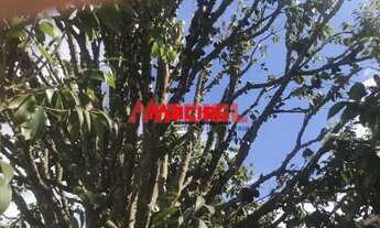 Imagem 2: Casa Padrão em Sao Jose dos Campos